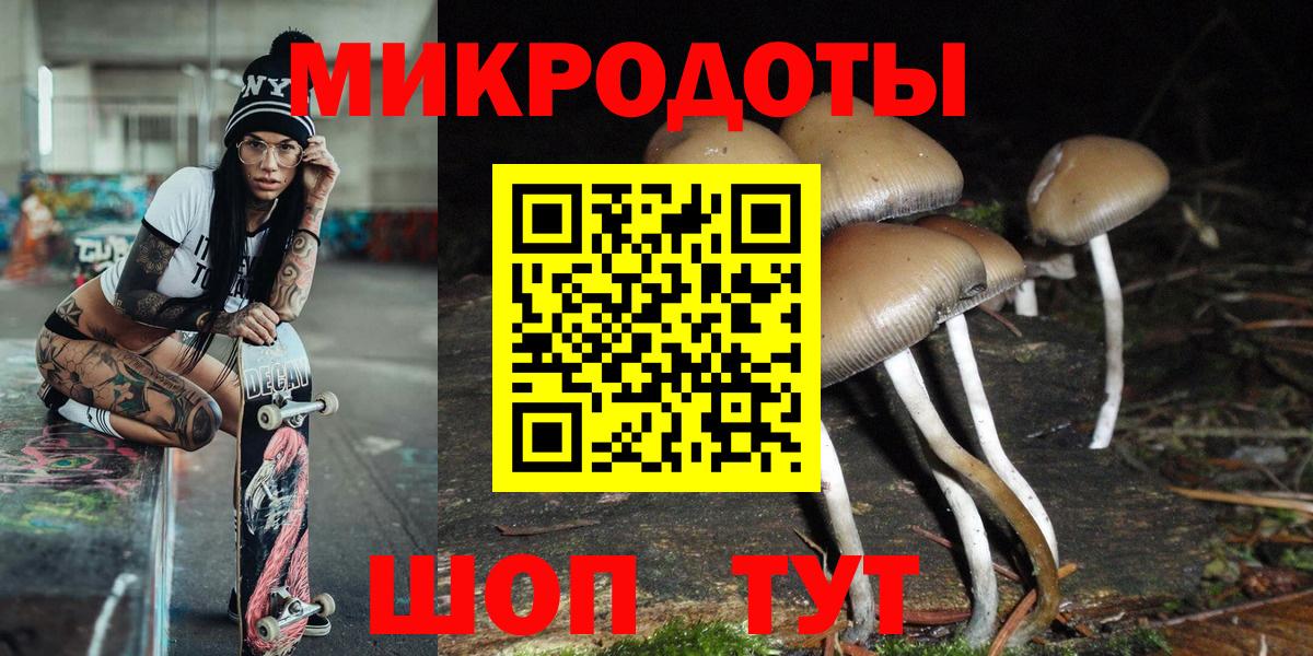 Галлюциногенные грибы Psilocybine cubensis  Вход с VPN  Шадринск 